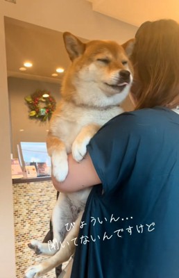 文句が止まらないあーちゃん