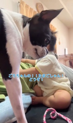 赤ちゃんが泣いた時のごろちゃん5