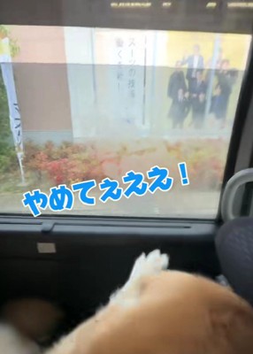 窓を開けてみると…