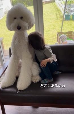 頭を大型犬に押し付ける男の子