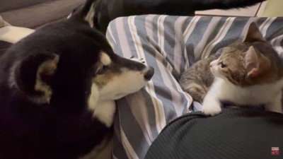 もみじちゃんを囲む大河くん＆銀河くん9