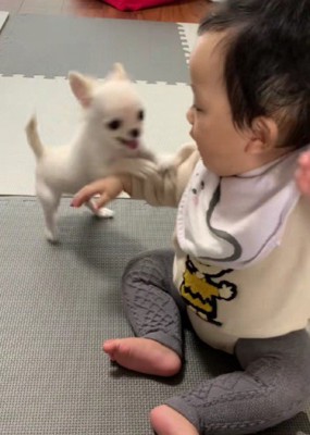 「一緒に踊ろう♪」