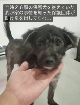 甘えん坊の元気な女の子に！