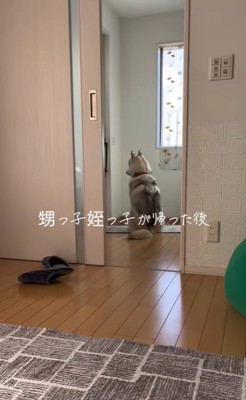 甥っ子と姪っ子が帰った後の神ちゃん