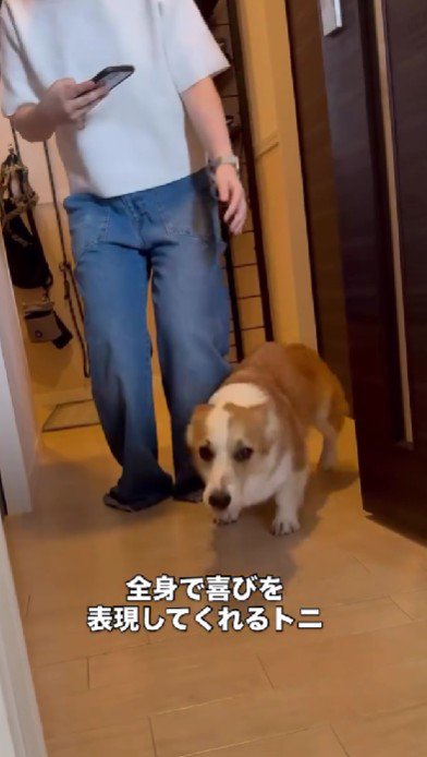 興奮が止まらないトニちゃん