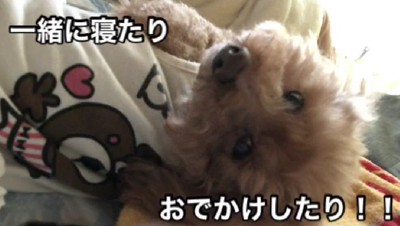 すっかり家族の一員に♡