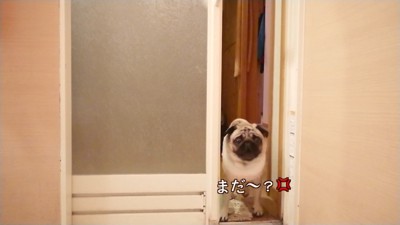 ダッシュで戻ってきて「まだ！？」と激怒