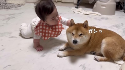 バシッ