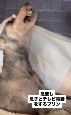 最後に声が聞けてよかった