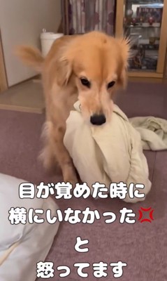 ご立腹のきなこちゃん7