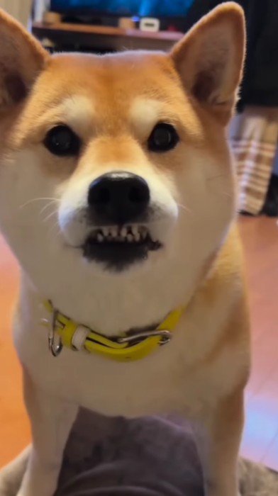 唇が渇いちゃった!