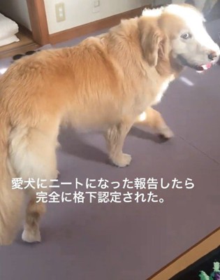 横目でチラリ