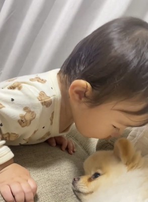 犬の匂いをかぐ子ども