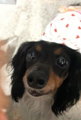 小咲ちゃんの魅力が引き立つように…