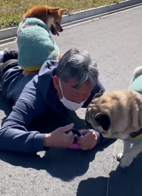 マイペースな殿くん