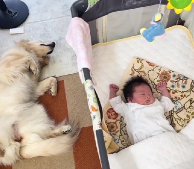 寝ているときも…