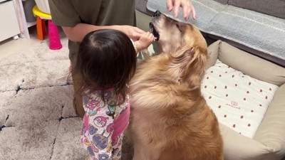 今度はほのちゃんが応援隊