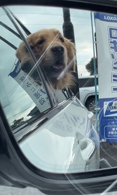 お姉ちゃんを待つトノくん&コテツくん