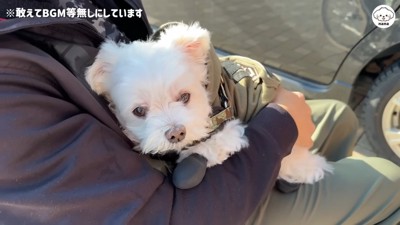 愛にあふれた光景♡