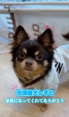 幸せを掴んだしずと君