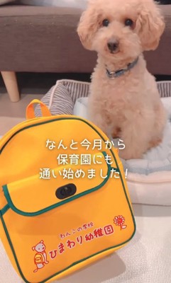 すいーぶ君の変化8