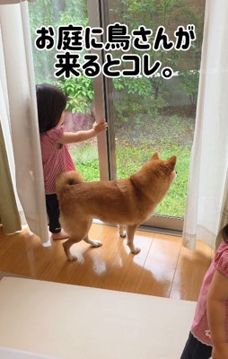 窓の外を眺める2人