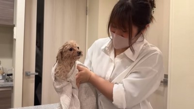 カナさんに抱っこされる小殿くん