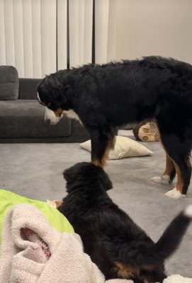 すぐに距離を取ります