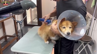 ウトウトすることも