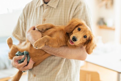 男性に抱っこされる犬