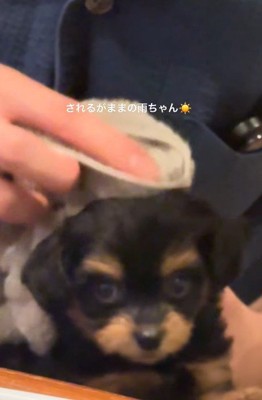 されるがままの姿にキュン♡