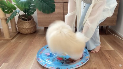 初めての感触にびっくり!