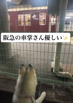 電車を夢中で見学