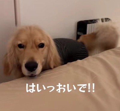 ついにベッド解禁のとき…