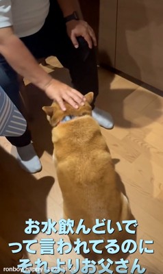 水を飲まないロンくん