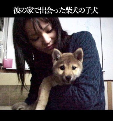 投稿主さんは犬が苦手