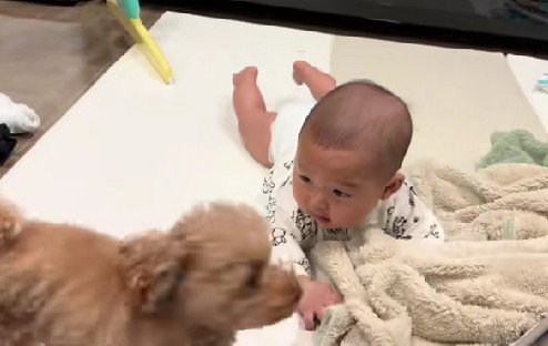 「なんか視線を感じる…」