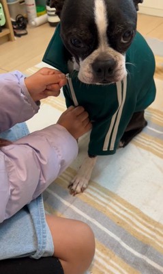 たま君と女の子の成長7