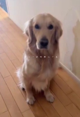 いたずらしちゃうことも