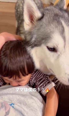 ママを取り合う星凪くん＆男の子5