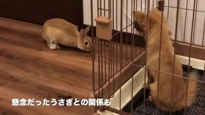 モコちゃんとも仲良しに