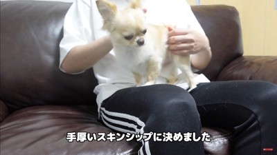 飼い主さんが浮気した時のみるくちゃん4