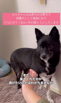 こんなに近距離に♡