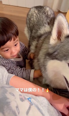 ママを取り合う星凪くん＆男の子3