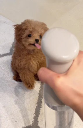 可愛すぎてキュン!