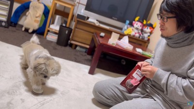 「もっと寄こせ」とベルを連打!