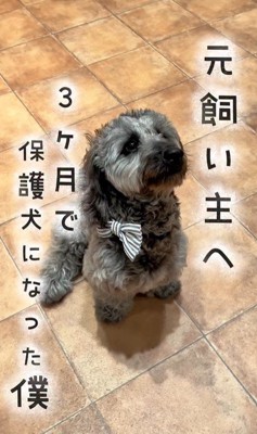 幸せを掴んだオレオくん