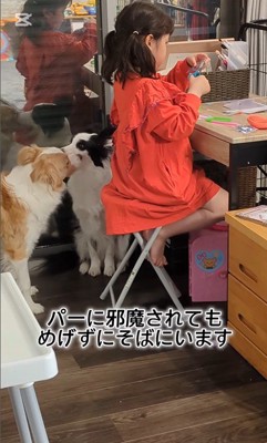 作業中のお姉ちゃんとアグちゃん4