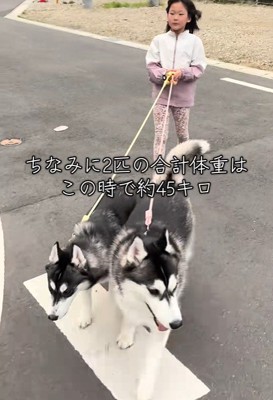 2匹の総重量は約45キロ！