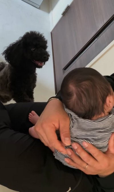 抱っこをせがむ犬